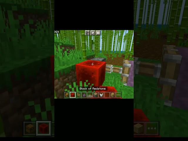 Minecraft you can hide chest #shorts #viralvideo #yashyt
