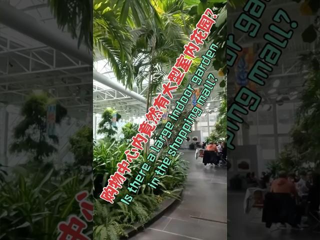 购物中心内竟然有大型室内花园? Is there a large indoor garden in the shopping mall?