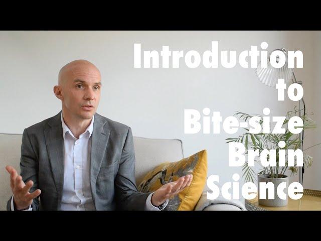 Introduction to Bite-sized Brain Science