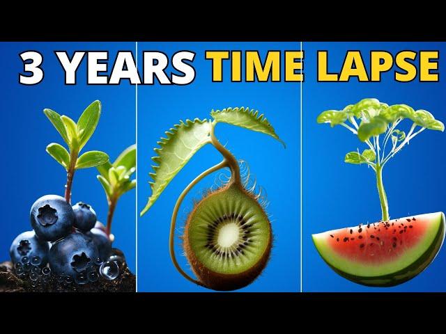 1087 Days in Just 30 Minutes - Growing Plant Time Lapse COMPILATION