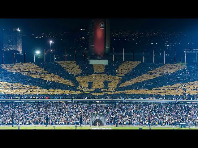 TREMENDO MOSAICO de la REBEL | Pumas vs América CL24