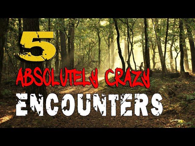 Shadows Fall: 5 Strange and Terrifying Encounters That You'll Find Crazy