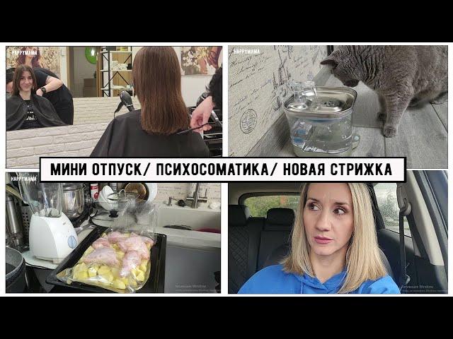 Влог:Ухожу в Мини-отпуск/ Новая стрижка Миленки/ Психосоматика- верю или нет? / Новая поилка Масяни