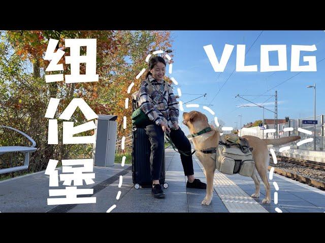 挑战一人一狗用2000欧元去环德旅行，所以第一站纽伦堡VLOG来啦 | 环德旅行VLOG 1