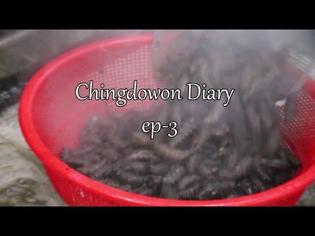 Chingdowon Diary ep-3