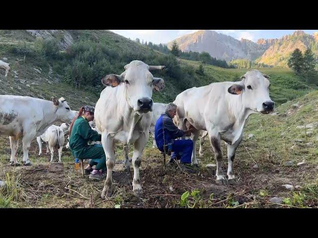 L’esperienza unica di un alpeggio in Val Maira