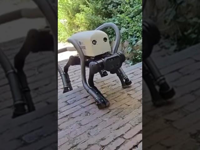 Meet VERO  The Beach Cleaning Robot!
