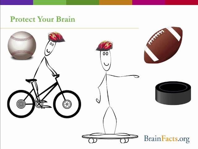 Brain Awareness Week Classroom Activities