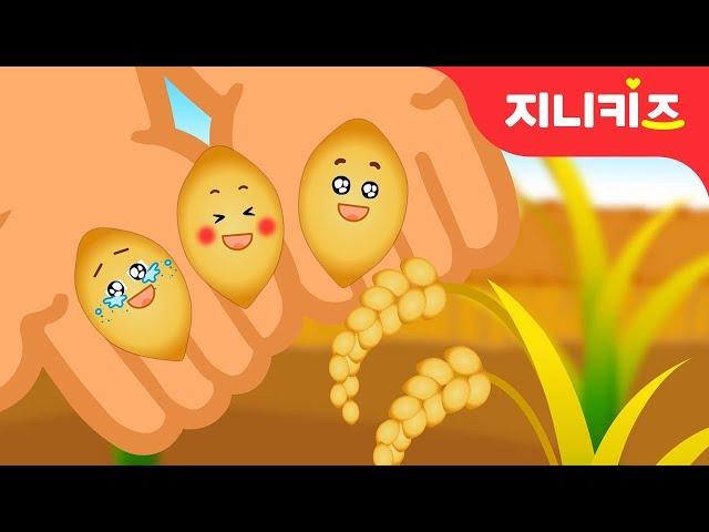 세 쌍둥이 낟알의 모험 | 가을동화 | 음식동화 | 창의동화지니키즈