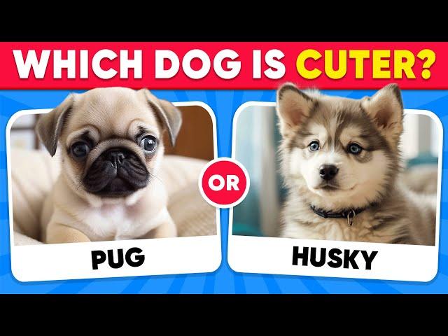 Would You Rather...? DOGS Edition  Which Dog is Cuter? | Quiz Kingdom