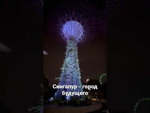 Сингапур - город будущего