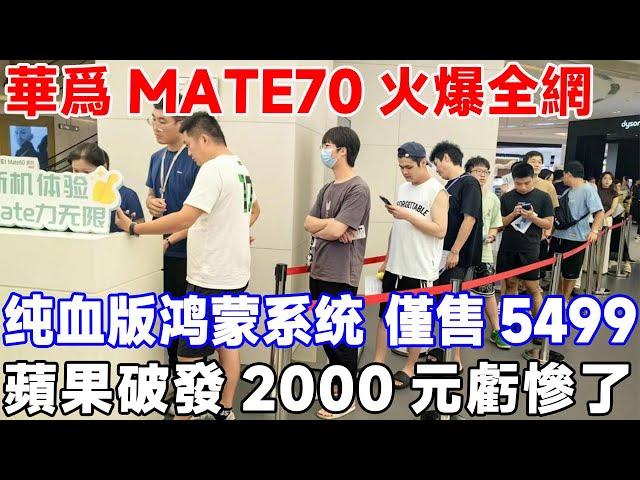 華為Mate 70火爆全網，純血版鴻蒙系統 售價5499，蘋果破防 2000元虧慘了！ #華為#蘋果16#華為Mate 70