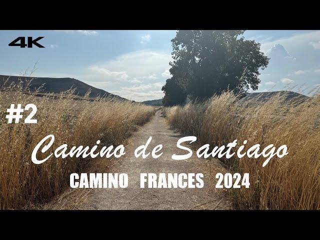  Camino de Santiago - Camino Frances #2 | 500 Miles (800KM) | 2024 July - August | 31 Days