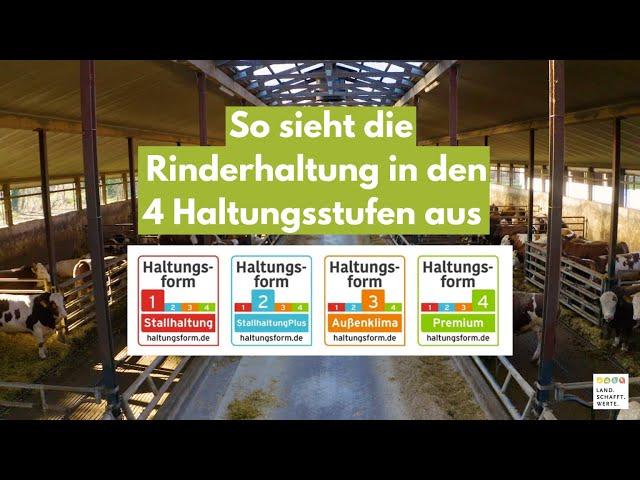 Rinderhaltung - So sehen die 4 Haltungsformen aus