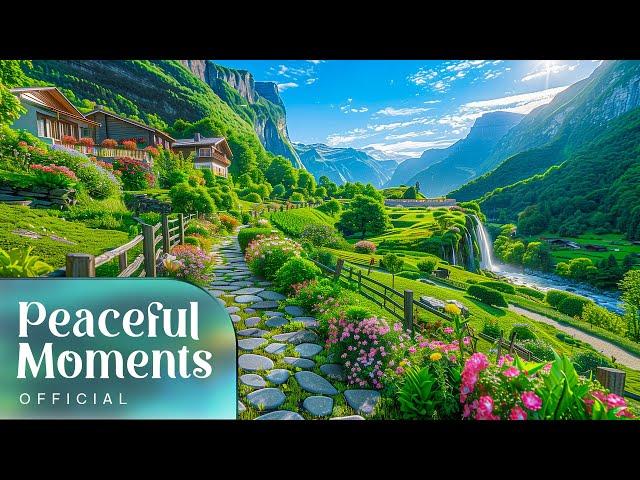 Calm Freeze - Peaceful Moments Official