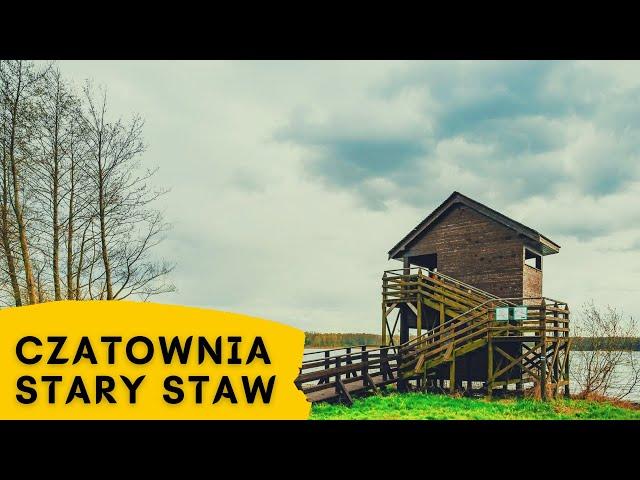 Czatownia Stary Staw, Milicz | WEEKEND JANUSZA