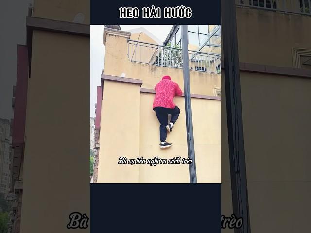 Bà cụ trèo lên tường | HEO HÀI HƯỚC
