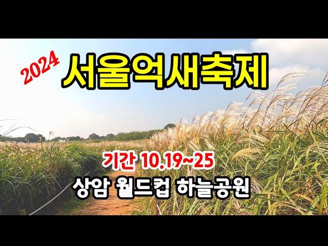 도심속 억새평원 | 출렁이는 은빛물결 | 가을정취에 빠진날 10.8일