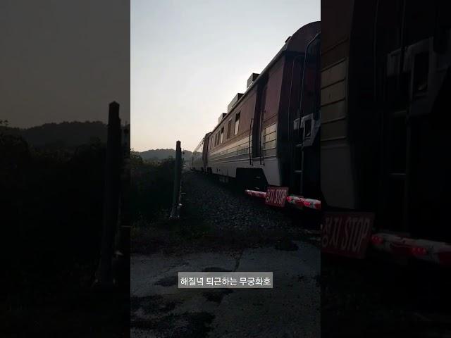 해질녘 작은교량을 지나는 열차 #디젤기관차 #무궁화호 #railway