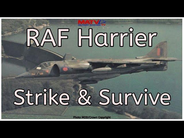 RAF Harrier :Strike and Survive | Classic Documentary #harrier #raf #coldwar #nato #germany