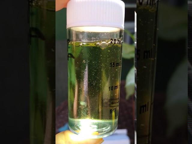 Checking PH Balance of tower garden