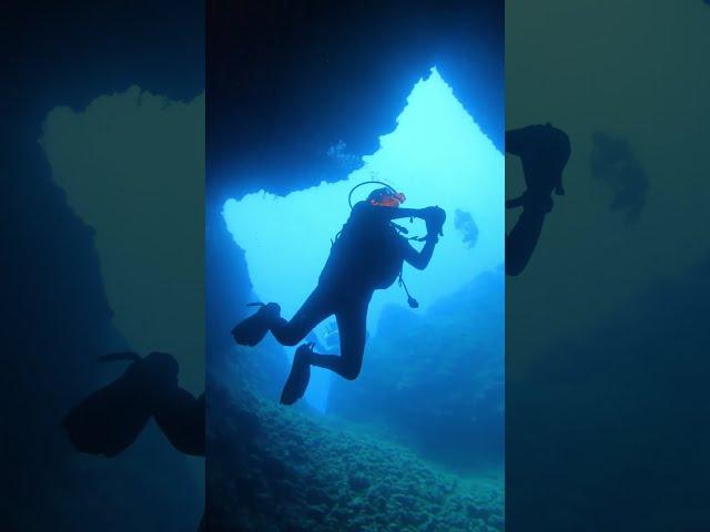 Engin Akyürek Diving