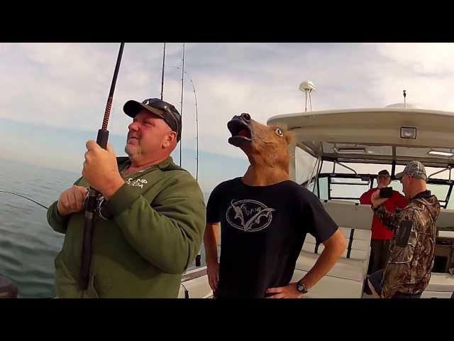 Horsing around RCC