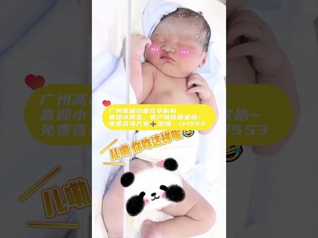 （国内高端试管代孕机构生殖记录）微信：ivf553 刚刚出生三代试管小宝宝，应该也会不好意思吧~#代孕机构#试管婴儿#重庆#IVF#不孕不育#三代试管#广州代孕#深圳#北京#代孕 #单身试管#供卵