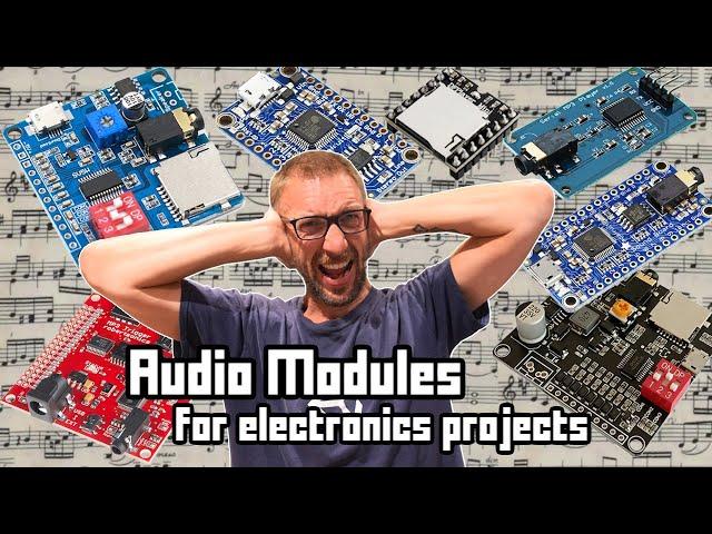 Audio modules for electronics project