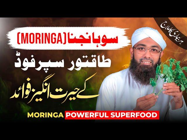 Sohanjna ke Fawaid | Health Benefits Of Moringa | Soban Attari | How to Use Moringa Powder or Leaves