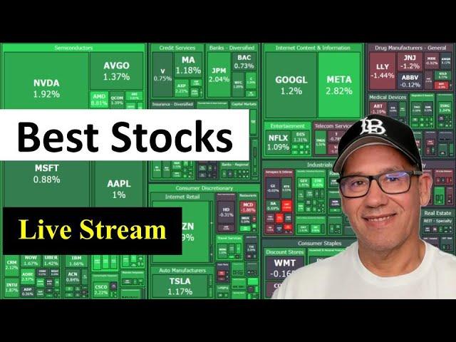 Best Stock in Market Rally - Live Stream