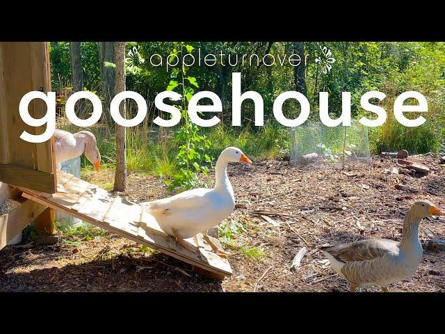 build a goosehouse and keep geese to create a resilient farm, at appleturnover