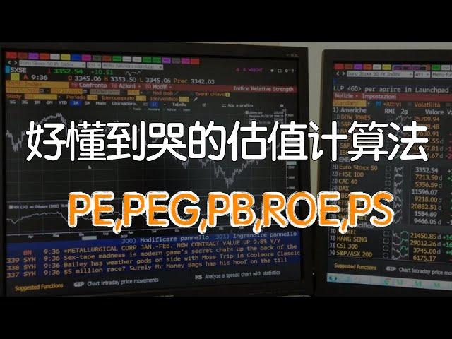 投资必修课-股票常用估值模型分析|如何判断股价是否合理？ #PE市盈率#PB市净率#PS市销率#PEG#ROE