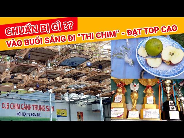 BUỔI SÁNG "ĐI THI CHIM" CẦN CHUẨN BỊ GÌ  - CHÀO MÀO HÓT ĐẤU
