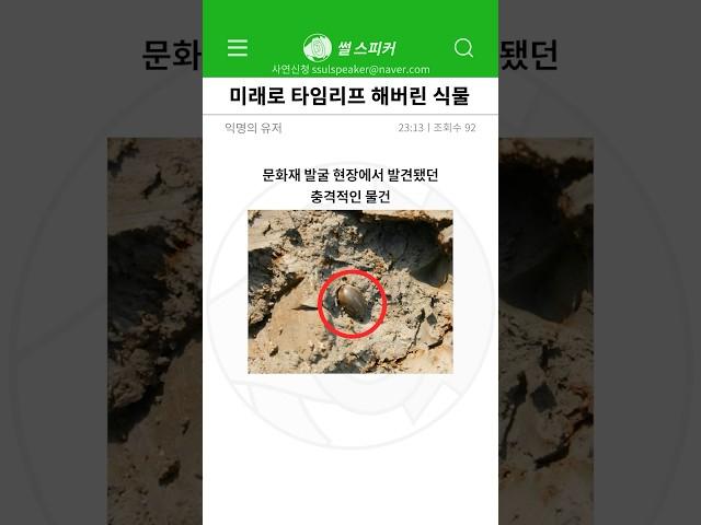 한국에서 발견된 미스테리한 씨앗..