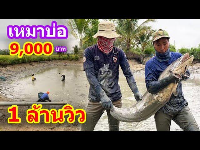 เหมาบ่อ 9,000บาท ใหญ่ๆเพียบ!!! บ่อนี้คุ้มยิ่งกว่าคุ้ม | Ep.049