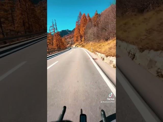 Beautiful Autumn in Engadin #cycling #driveitout #roadcyclinglife #roadbike