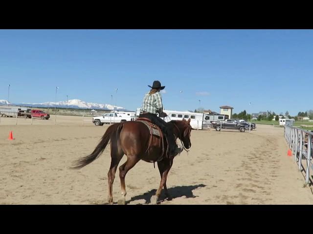 Covrha ranch riding Olly may 2017