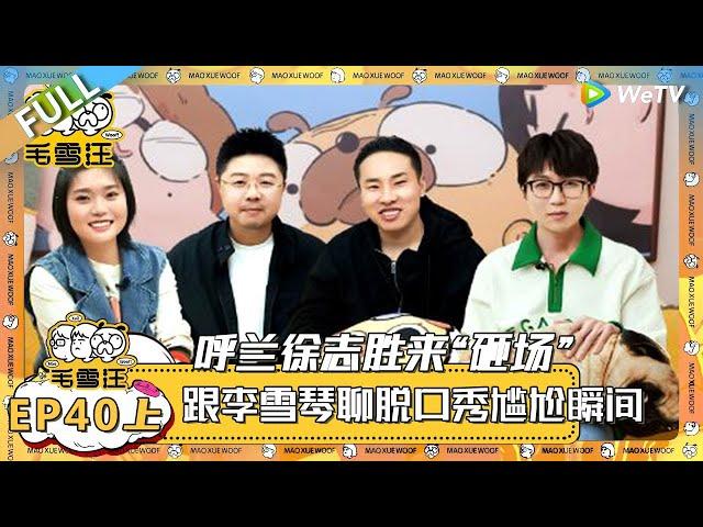 《毛雪汪》第40期上：呼兰徐志胜带人工智能来“砸场”，聊脱口秀尴尬瞬间  MAO XUE WANG  腾讯视频