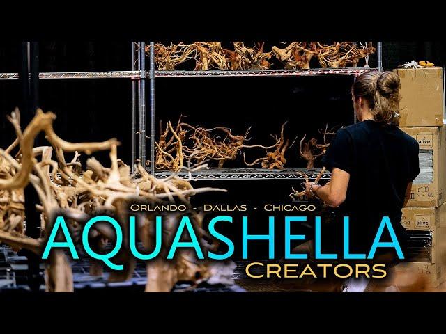 Who WON the Creators Aquascaping Contest?