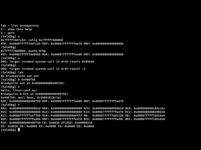 Let's write a Debugger!