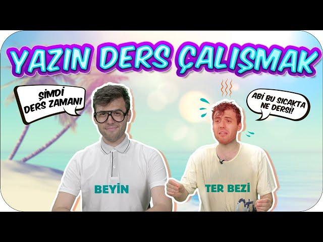 Yazın Ders Çalışırken İç Organlarımız 