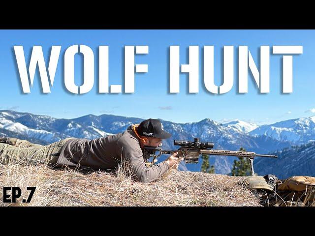 WOLF HUNT | Hunt Weekly | Episode 7