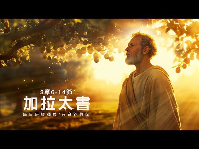 250620 加拉太書 3章6~14節 因信稱義脫離律法咒詛 (附小組討論題庫於留言區)