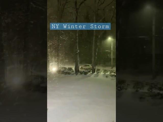 NY Winter Storm Kenan