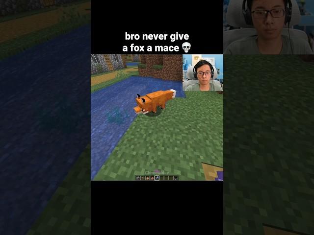 Minecraft Fox Moment