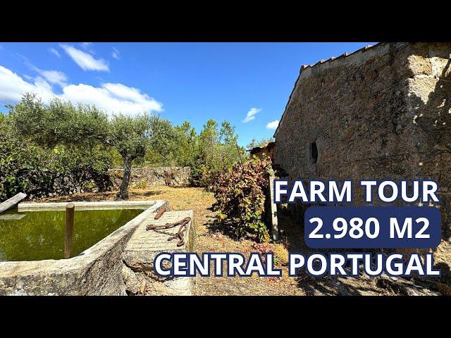 RESERVED | Central Portugal Farm for sale with 2980 m2 | Soalheira, Fundão