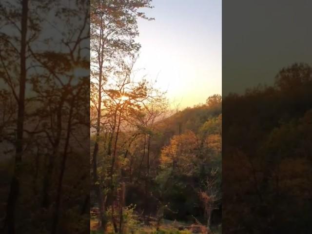 #어니언스 저 별과 달을 