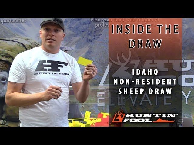 Inside the Draw: Idaho Bighorn Sheep Odds