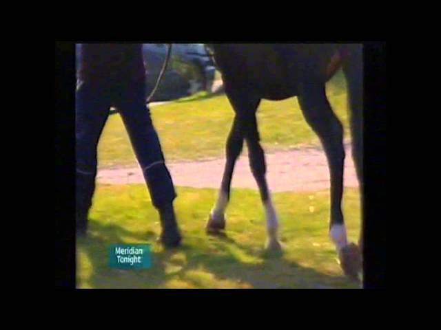 Thoroughbred  Genetics  Speed Gene ITV TELEVISION